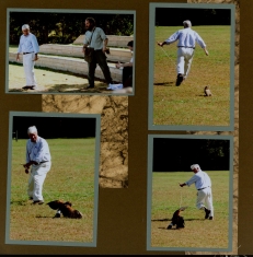 Birds of Prey Scrapbook Layout