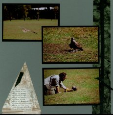 Birds of Prey Scrapbook Layout