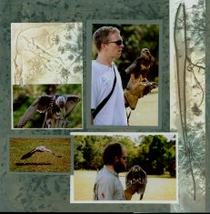 Birds of Prey Scrapbook Layout