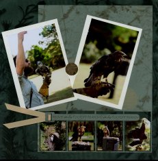 Birds of Prey Scrapbook Layout