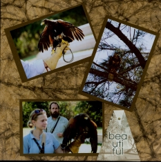 Birds of Prey Scrapbook Layout