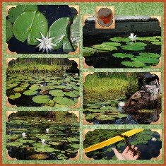 Digital Scrapbook Layout of Cypress Gardens near Charleston SC 