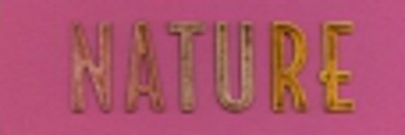 Tattered Angels Glimmer Chips - Natures Chips