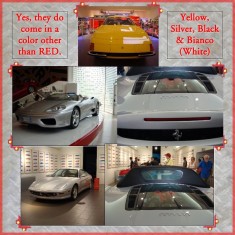 Ferrari Plant Scrapbook Layout