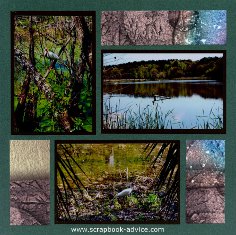 Magnolia Plantation Water Foul