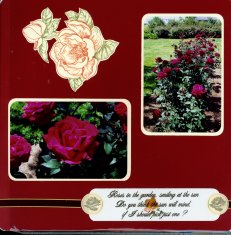 Norfolk Botanical Gardens Scrapbook Layout