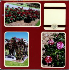Norfolk Botanical Gardens Scrapbook Layout