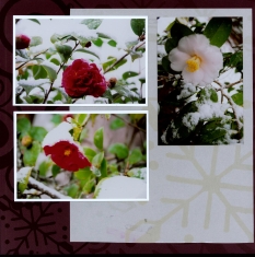 Winter Snow Scrapbook Layout
