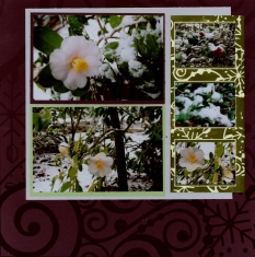 Winter Snow Scrapbook Layout