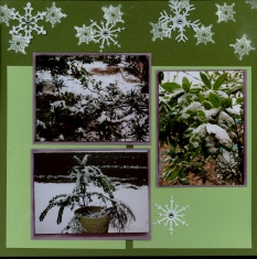 Winter Snow Scrapbook Layout