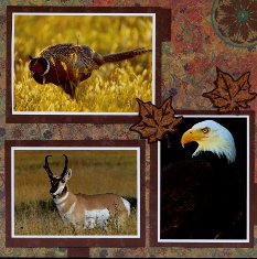 Yellowstone Park Scrapbook Layout & Embellishments