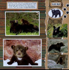Yellowstone Park Scrapbook Layout & Embellishments