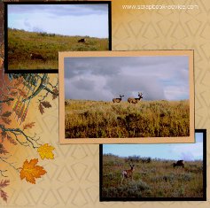 Yellowstone Park Scrapbook Layout showing the Deer in Full antler