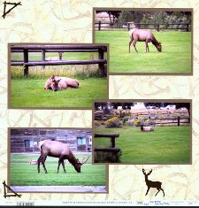 Yellowstone Park Scrapbook Layout & Embellishments