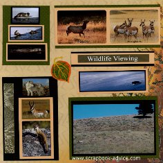 Yellowstone Park Scrapbook Layout showing the Pronghorn wildlife