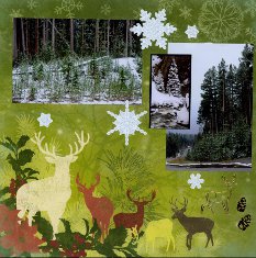 Yellowstone Park Scrapbook Layout