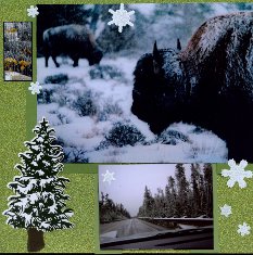Yellowstone National Park Scrapbook Layout Ideas