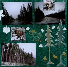Yellowstone National Park Scrapbook Layout Ideas