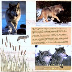 Yellowstone Park Scrapbook Layout & Embellishments