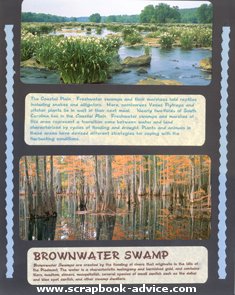 Aquarium Scrapbook Layout