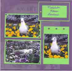 Middleton Gardens Scrapbook Layout