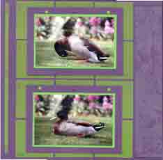 Middleton Gardens Scrapbook Layout