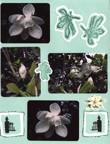 Floral Scrapbook Layout