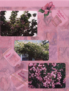Floral Scrapbook Layout