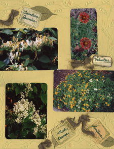 Floral Scrapbook Layout