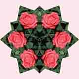 Kaleidoscope Kreator Photo