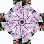 Kaleidoscope Celtic Cross