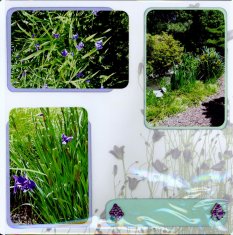 Norfolk Botanical Gardens Scrapbook Layout