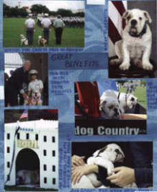 Pet or Mascot Scrapbook Layout