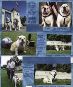 Pet or Mascot Scrapbook Layout