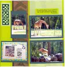 Africa Scrapbook Layout Zoo